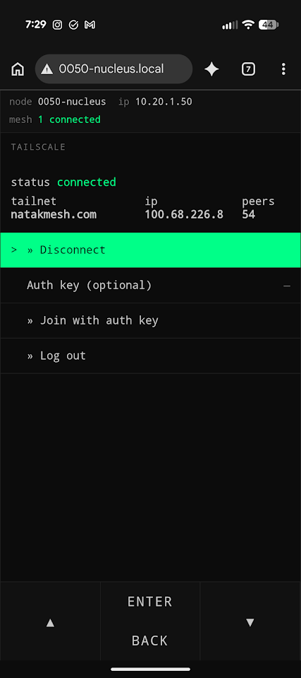 Fig. 11: Tailscale page